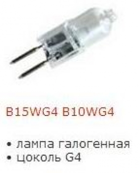 B10WG4 (6V 10W G4)