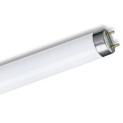 LightBest 10W T8 L=346мм (в ловушки для насекомых)-лампа