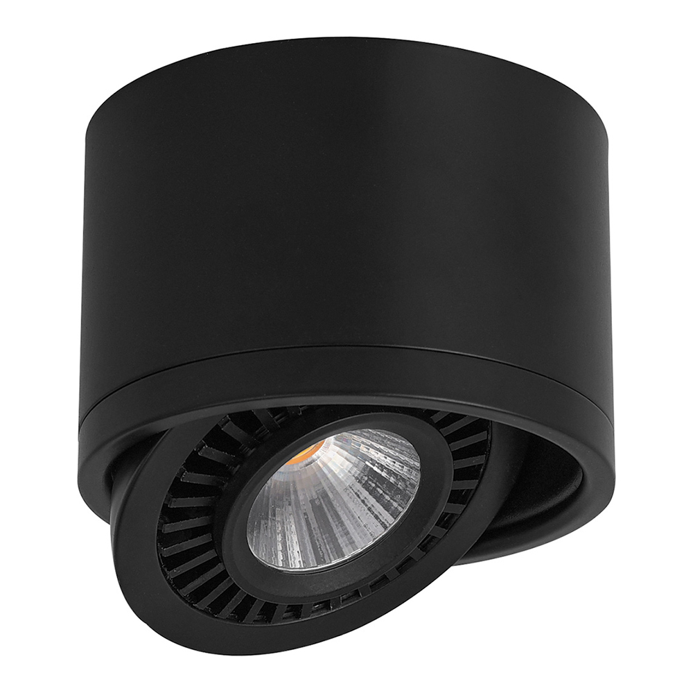 Светильник светодиодный 10W, 900Lm, 4000К, 24 градуса, черный, поворотный, AL523