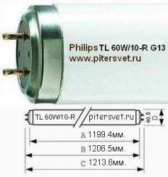 Philips TL 60W/10-R G13 SLV/25